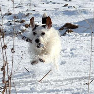 Tammy Schnee31jan10
