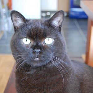 Oskar
