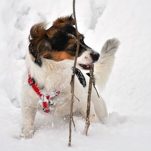 Juli hat sichtlich Spaß im Schnee