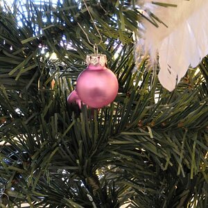DSC 0873, geschossen im Dunklen raum mit Weihnachtsbaumbeleutung im Modus A, Lange Belichtung, Stativ benutzt.