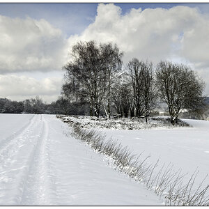 winter 01