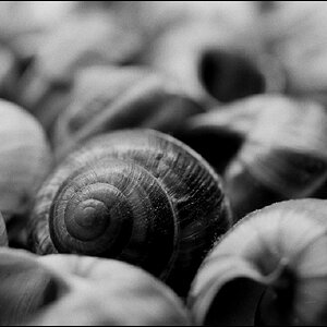 Neg2010 079