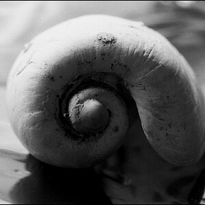 Neg2010 095