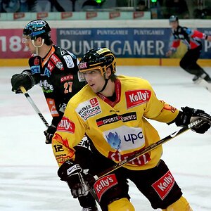 Vienna Capitals David Rodman
