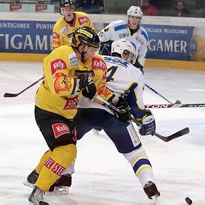 Vienna Capitals vs. KHL Medvescak Zagreb
