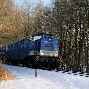 V100 im Wald2