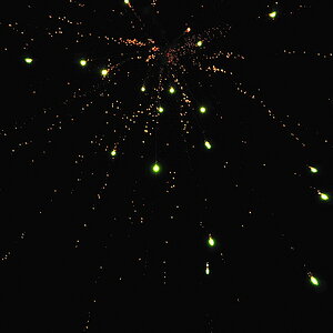 DSC0495