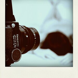 Web JOE3887 pola