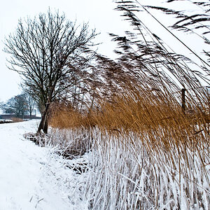 20100110  DSC2134 Kopie