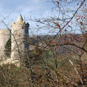 Burg Saaleck