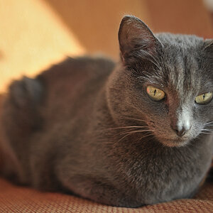 DSC7326 nff