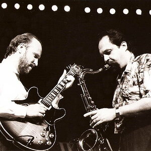 sco lovano low