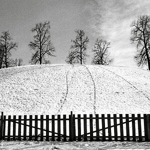 Winter 1