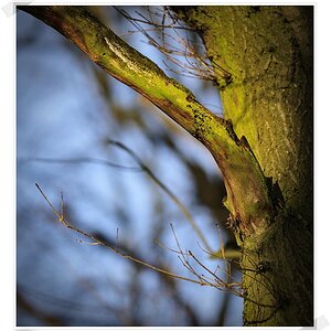 DSC7361 nff