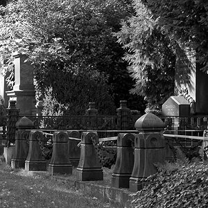 MA Westfriedhof  230