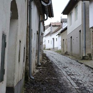 DSC0037