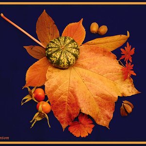 Ein Herbstmenü auf Weinlaub