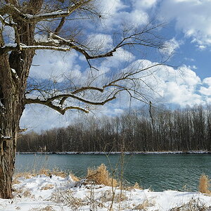 20100202 123650 perach inn