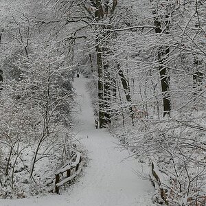 Kammerberg 01/2010