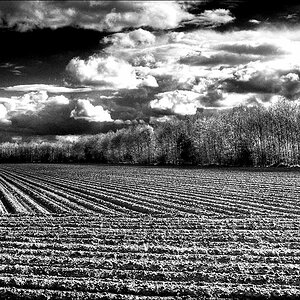 Emsland 05 / 2008