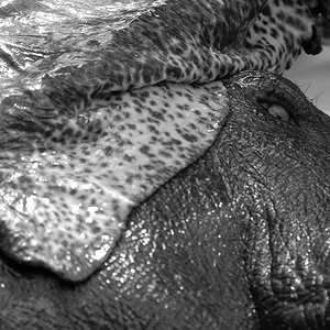 DSC 1837 sw