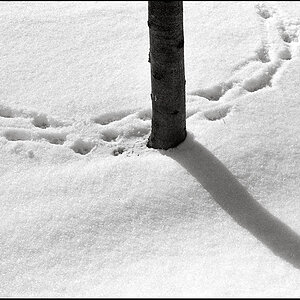 Nikon F test 4