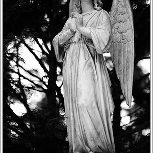 DSC7805 nff