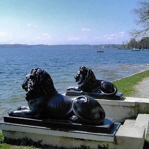 wwi?