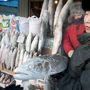Am Fischmarkt von Jakutsk