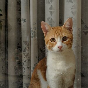 DSC 0065