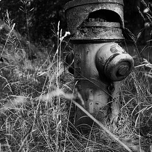 Hydrant