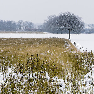 20100105 1020528 [DMC G1]   45 mm  1 400 Sek. bei ƒ   8,0