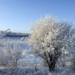 zu Eis erstarrte Landschaften auf dem Weg nach Oymyakon