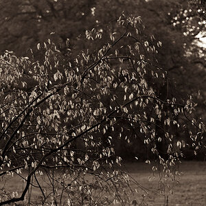herbst04