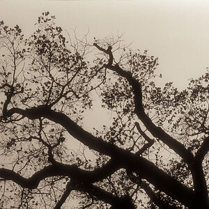 herbst05