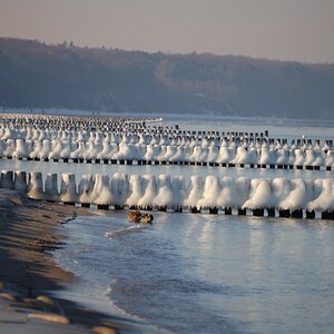 Ostsee friert zu!