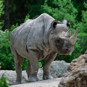 Zoo Zürich
