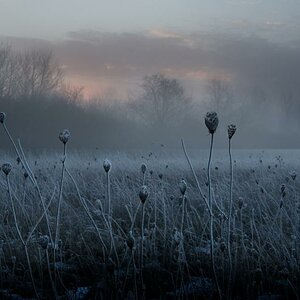 Frostiger Morgen
