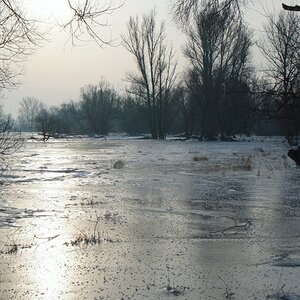NF B 2010 01 24 09 46 5 V1