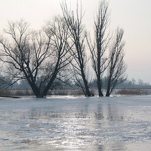 NF B 2010 01 24 10 34 47