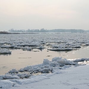 NF B 2010 01 24 11 21 03