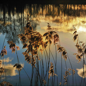 Wintersonne 02 / 2009