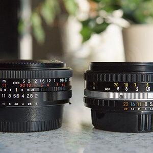 Nikon voigt