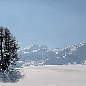 altabadia2