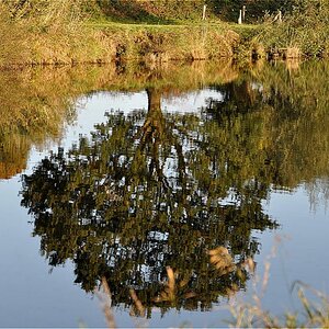 Natur 2009
