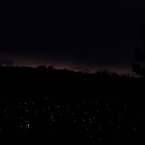 DSC 0074