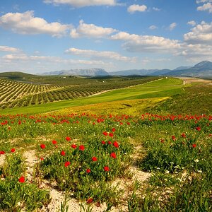 Andalusien