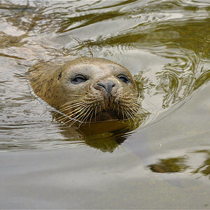 zoo Rheine