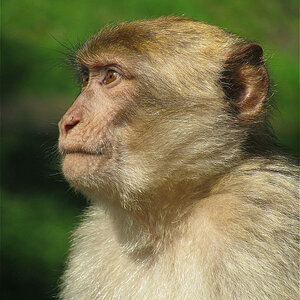 Zoo Rheine