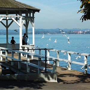 Pavillion